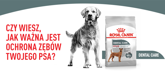 ROYAL CANIN CCN Medium Dental Care kuivtoit täiskasvanud keskmise tõu koertele, vähendab hambakivi teket